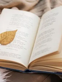a boook of poems with a dry leaf as a bookmark