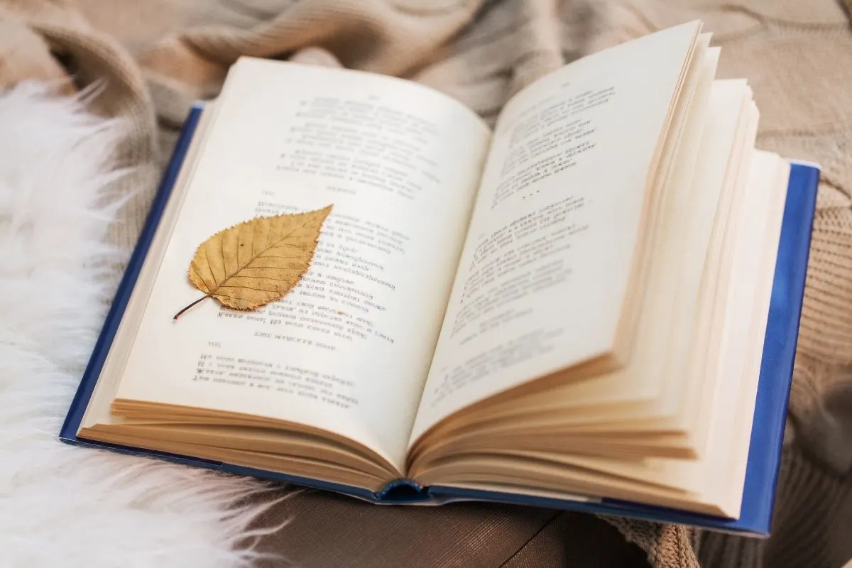 a boook of poems with a dry leaf as a bookmark