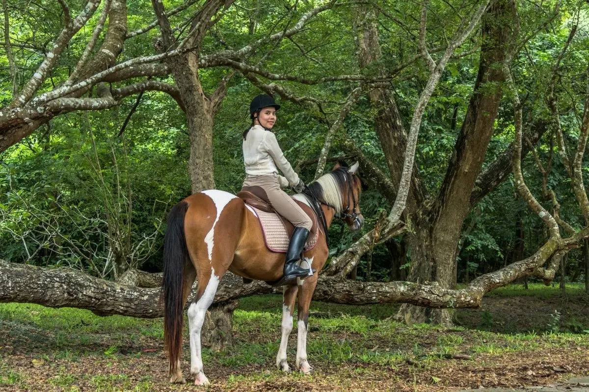 woman sitting on a horse